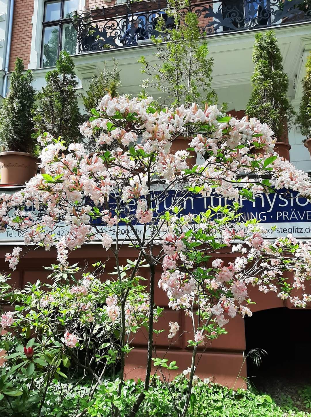 Hayat Yaşama Dair