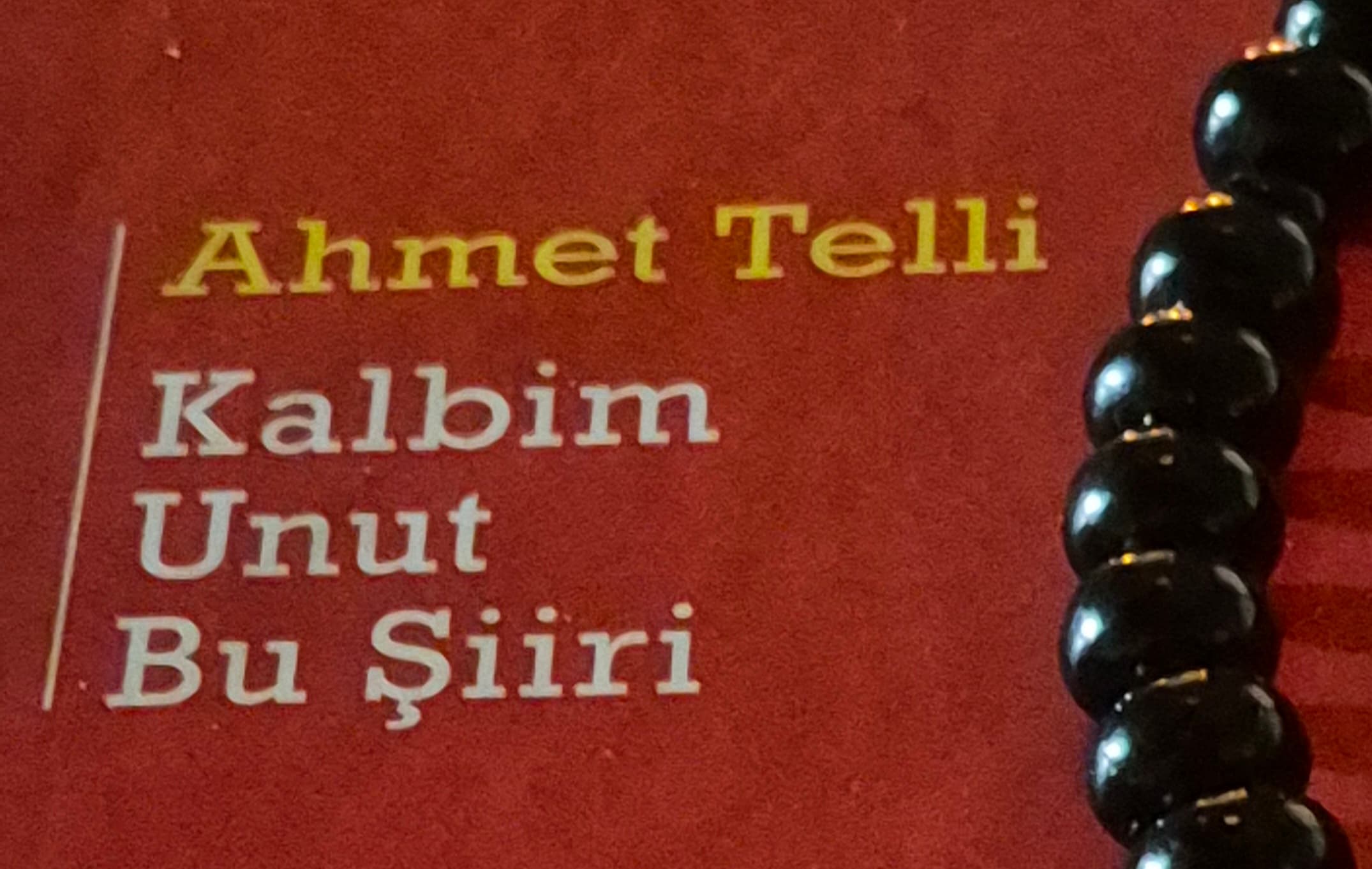 Şiirler Sustu
