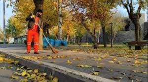 Hışırtı Sesleri