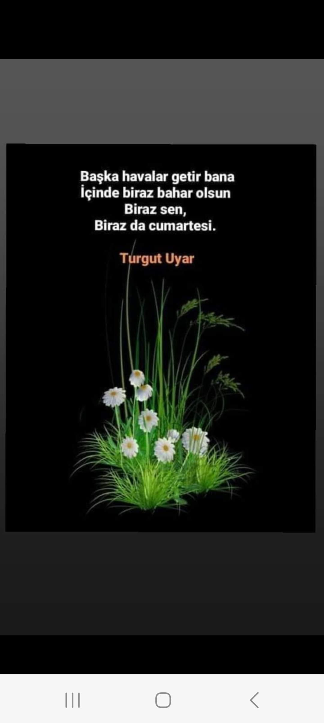 Gül/an Gül Kokulu Bir An