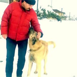 Alp Arslan