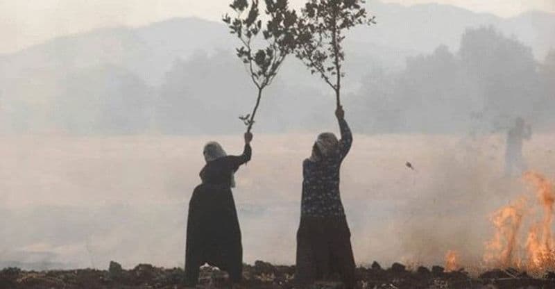 Buralar Yangın Yeri