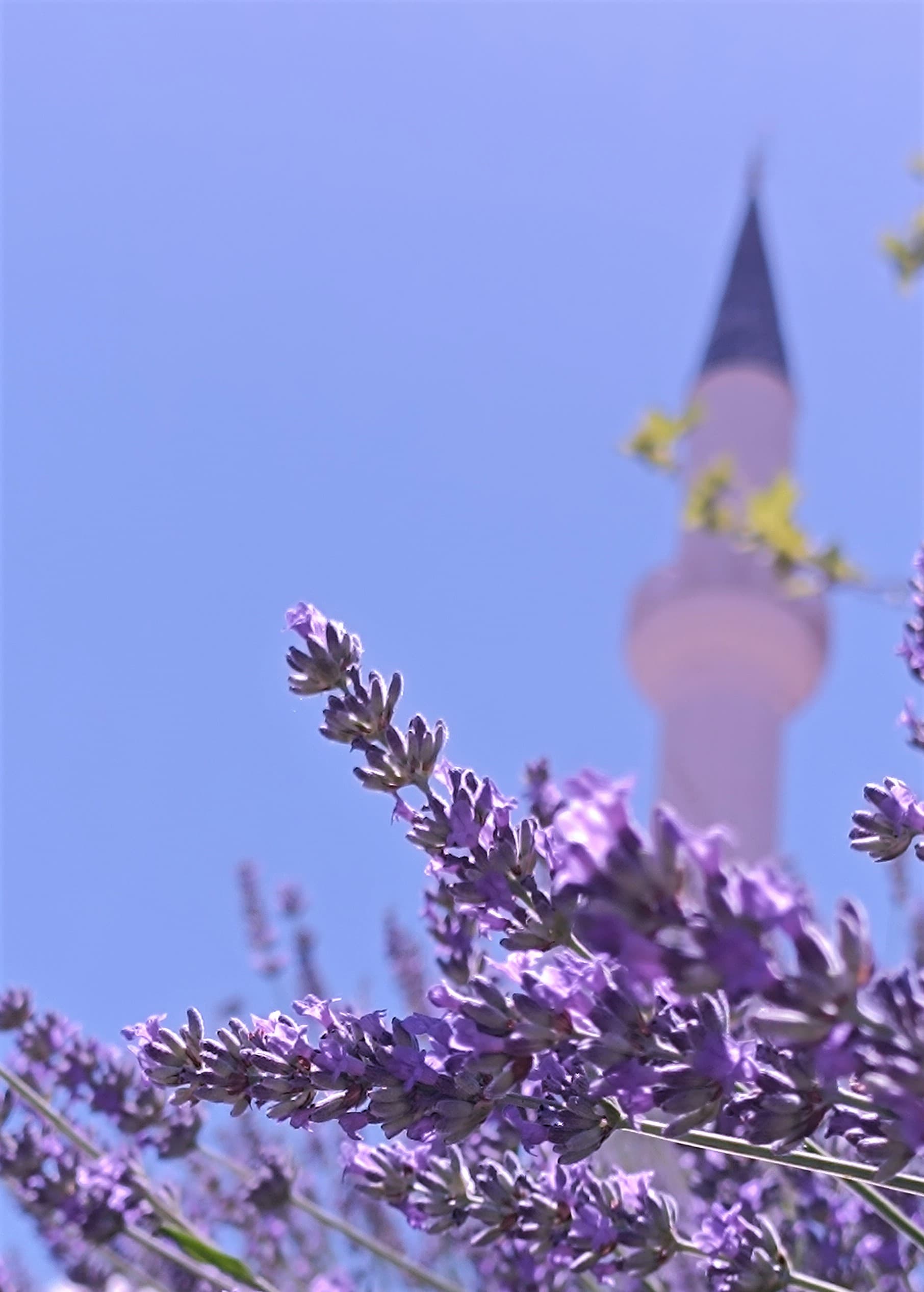 Gök Uzakta ve Hala Mavi midir