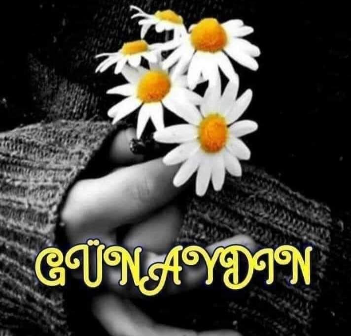 Ebruli Aydınlık