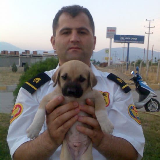 Hüseyin Çomak