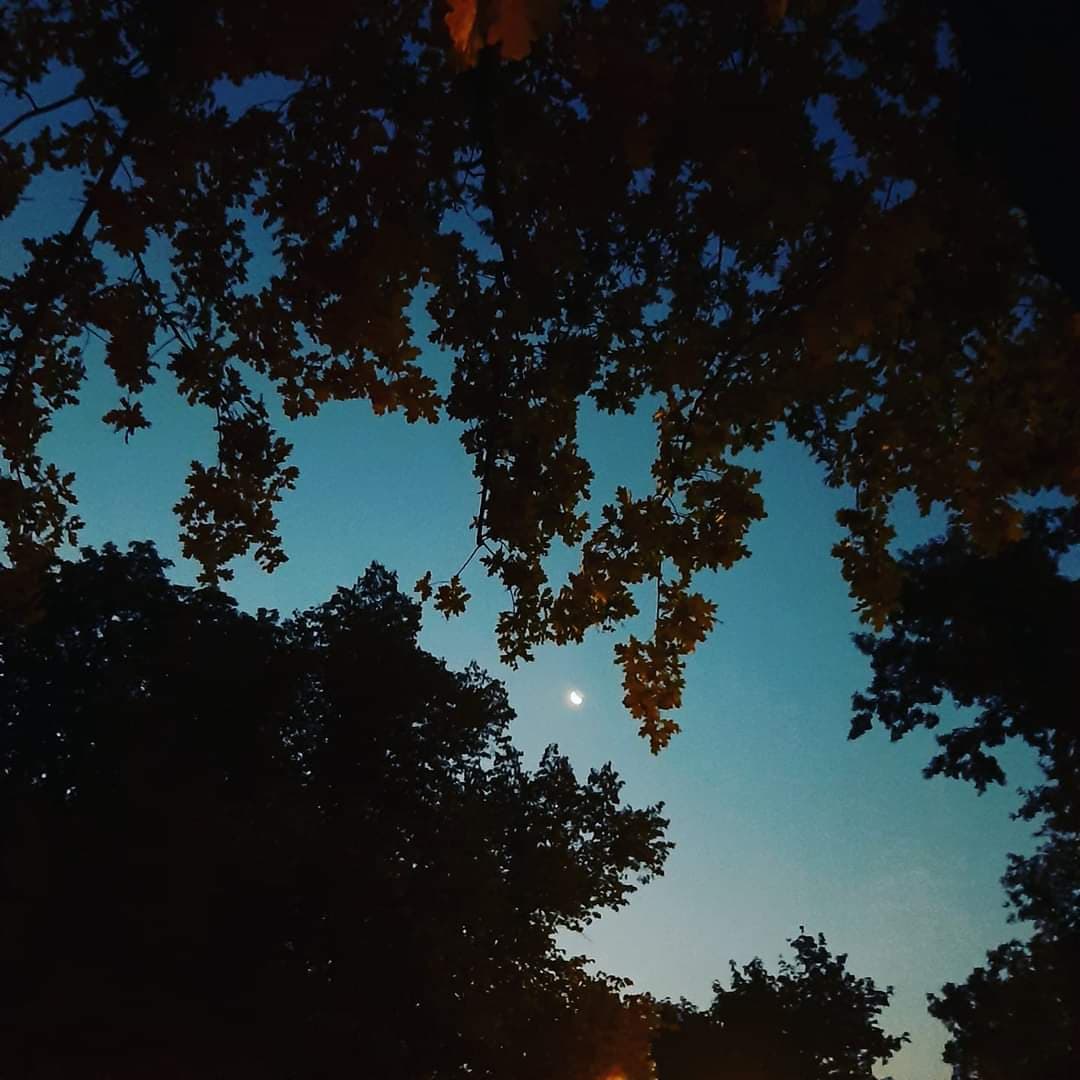 Sevilmek Bir Hayal