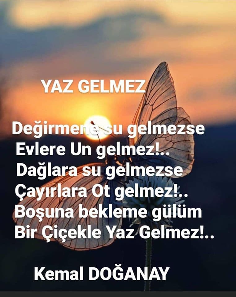 Yaz Gelmez