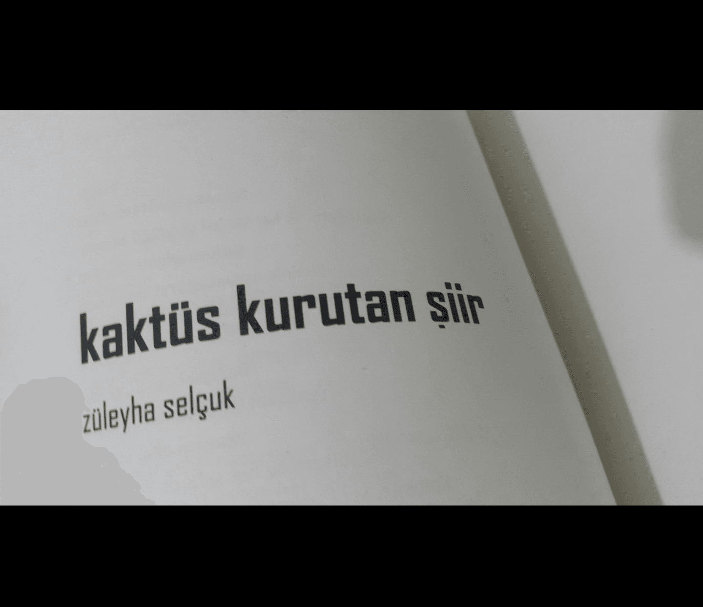Kaktüs Kurutan Şiir