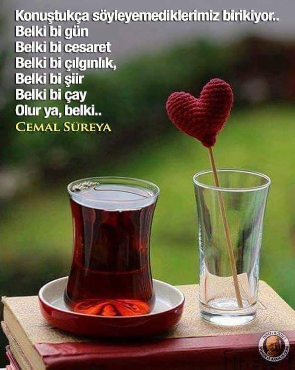 Ziya Değil Ziyan'mış Ömrüm