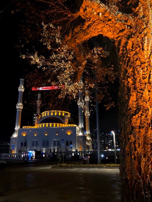 Kaybolan Anılar