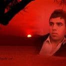 Yasin Okcu