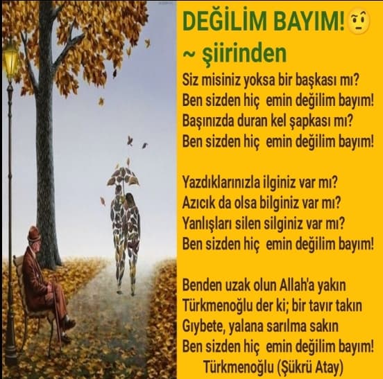 Değilim Bayım