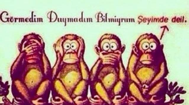 Topuk Kanı