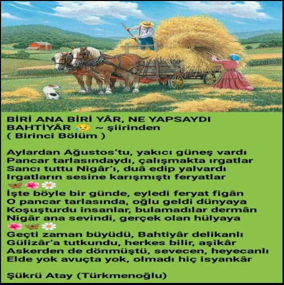 Biri Ana Biri Yâr  Ne Yapsaydı Bahtiyâr 1 / Öykü Şiir