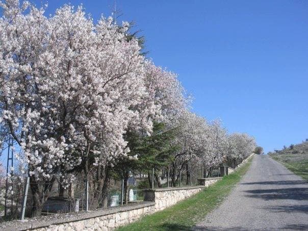Köyün Gecesi