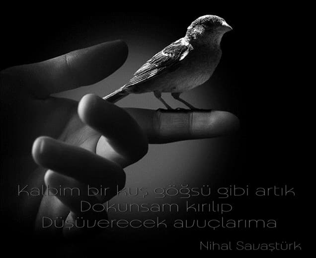 Nasılım Diye Sorma