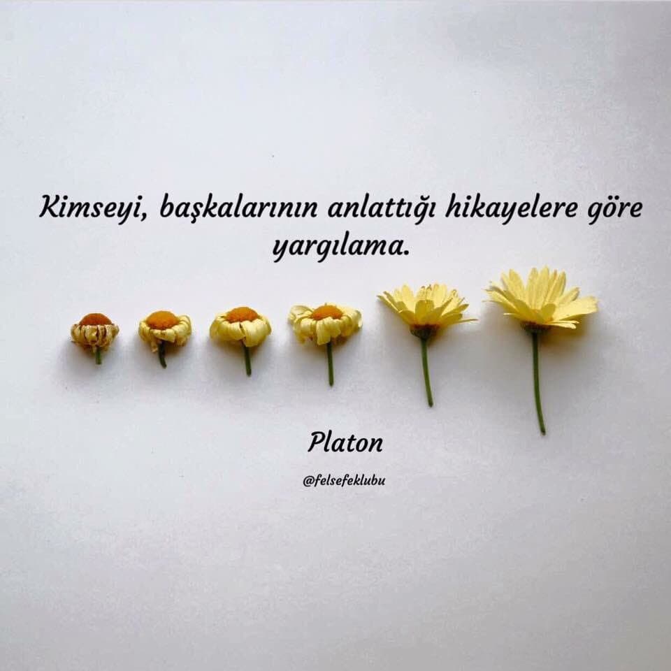 Kanmayacaksın