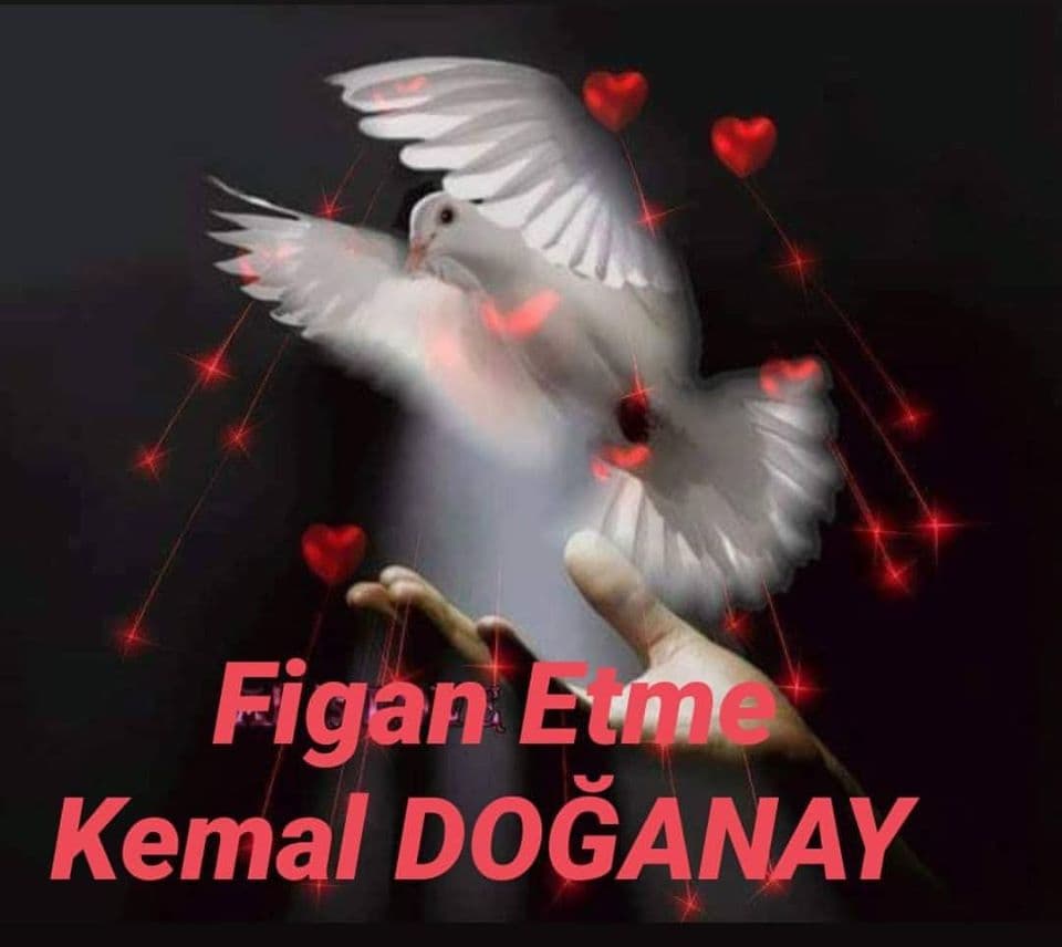 Figan Etme