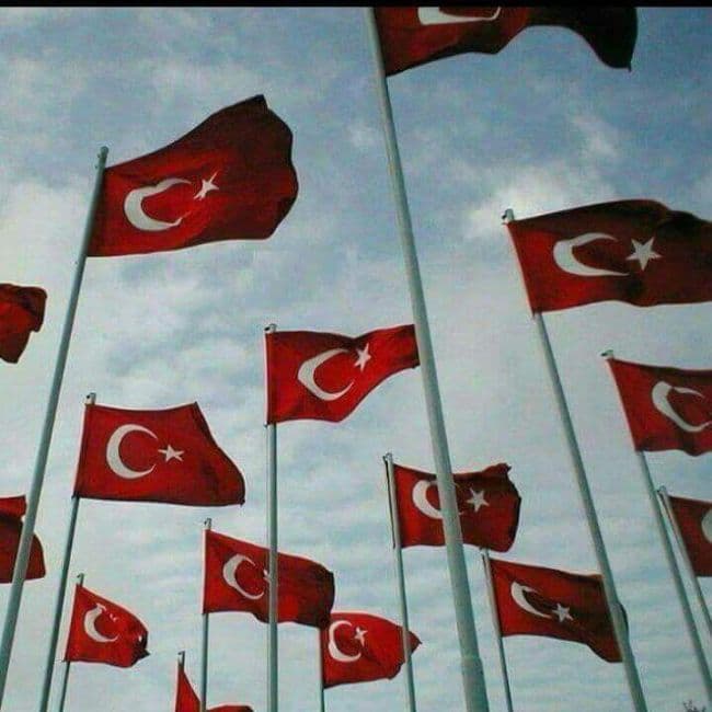 Ayşe Tuğçe Dinler