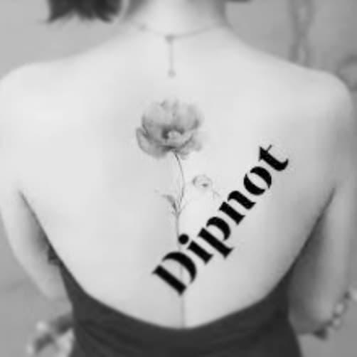 Dipnotu
