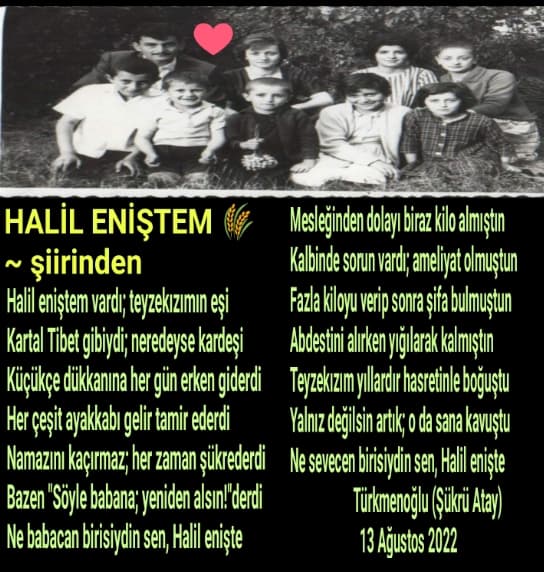 Halil Eniştem