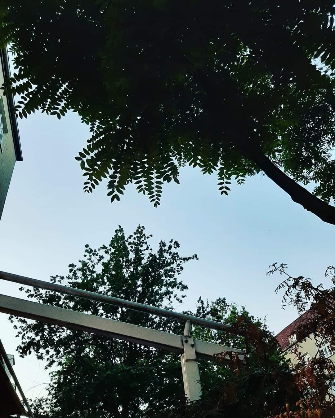 İpini Koparan Gidiyor