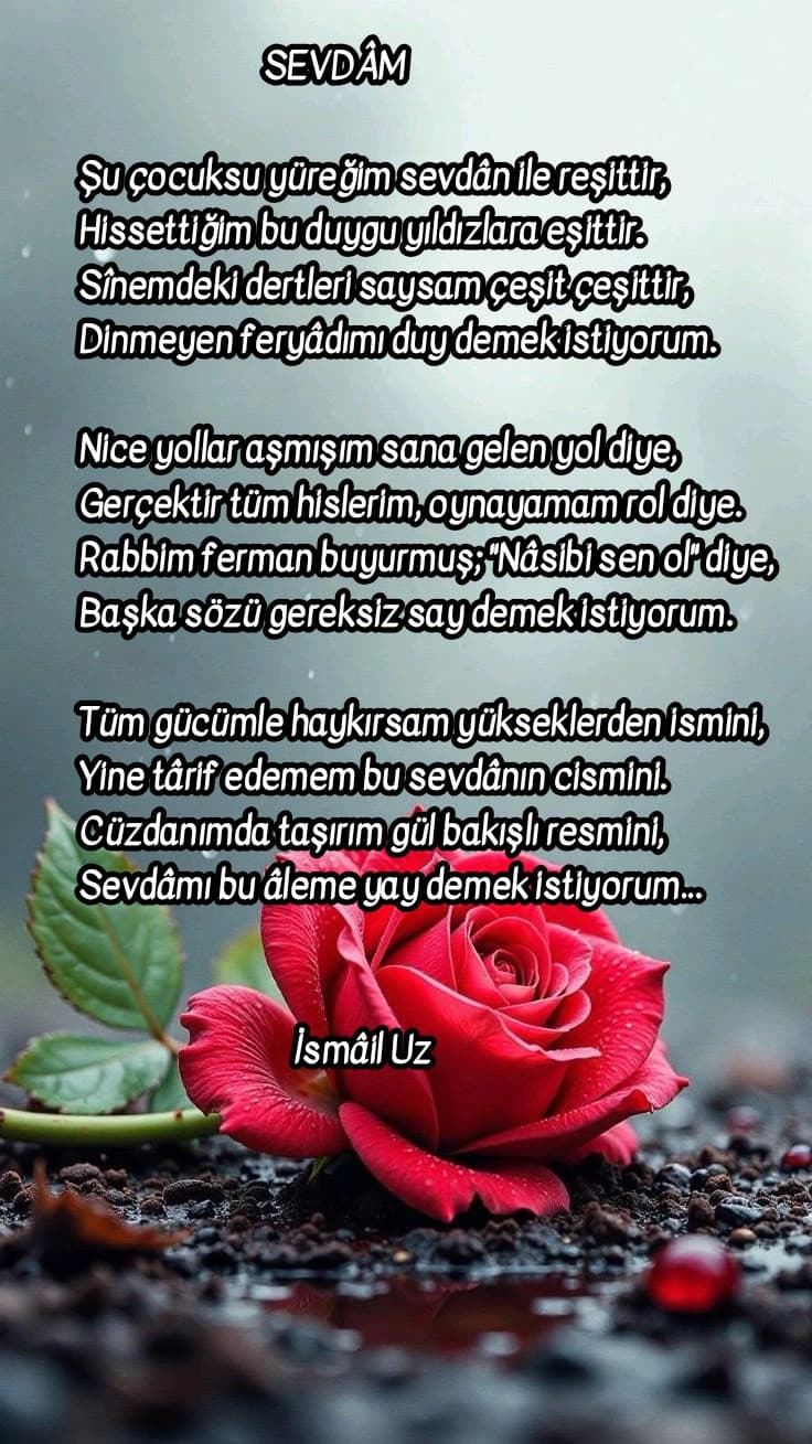 Sevdam