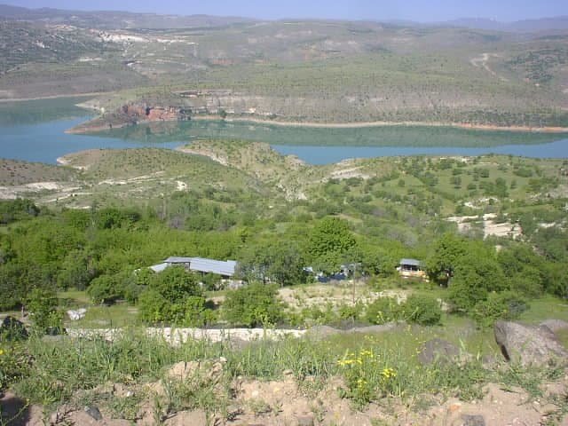 Köyün Yeşili
