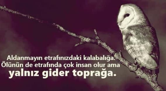 Afacan Çocuk