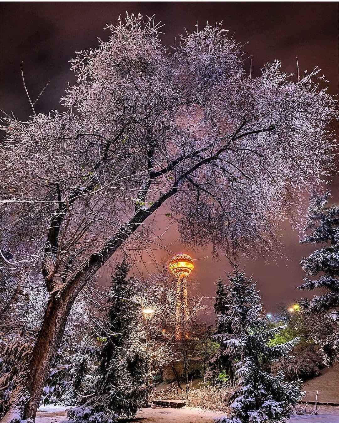 Yalnızlığım Ankara