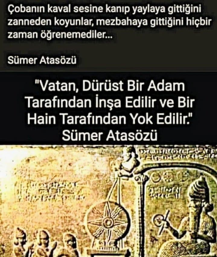 Fuhuş Ve İlk Taş