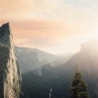 Rezzan Sipahi