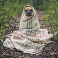 Yakup Uzun