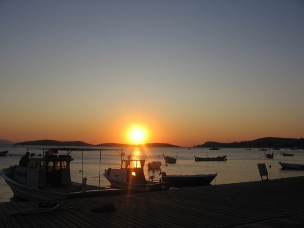Yaşama Direnci