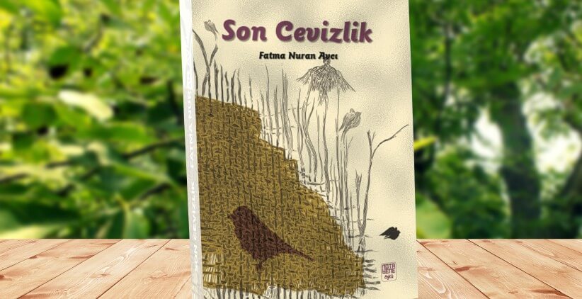 Nitelikli Öyküler Bahçesi/Son Cevizlik