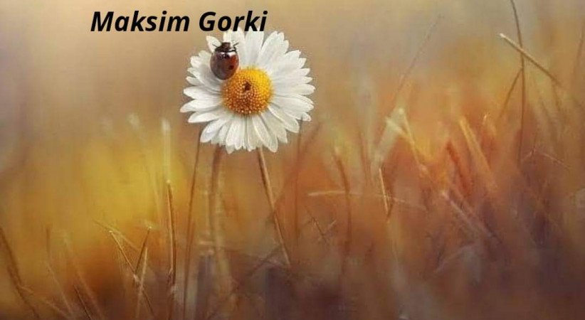 Es/er/iniz Hep Aynı Na/kar/at
