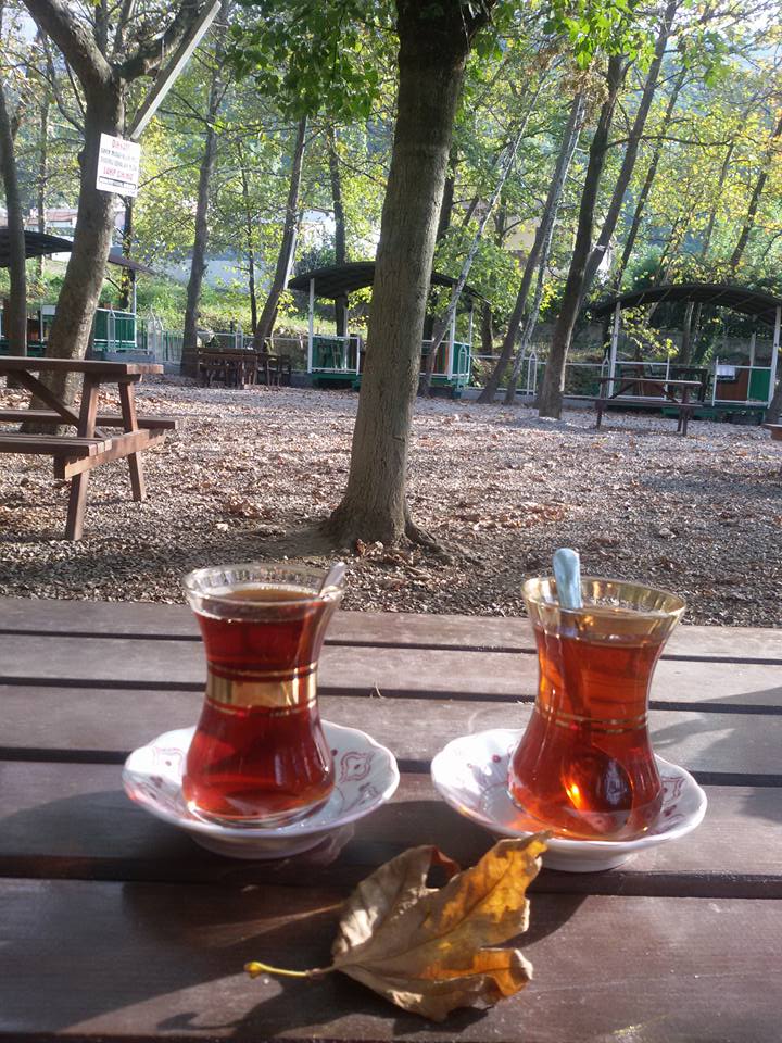 Ertelenmiş Mutluluklar