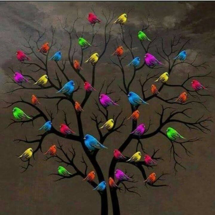 Sonlu Dünya