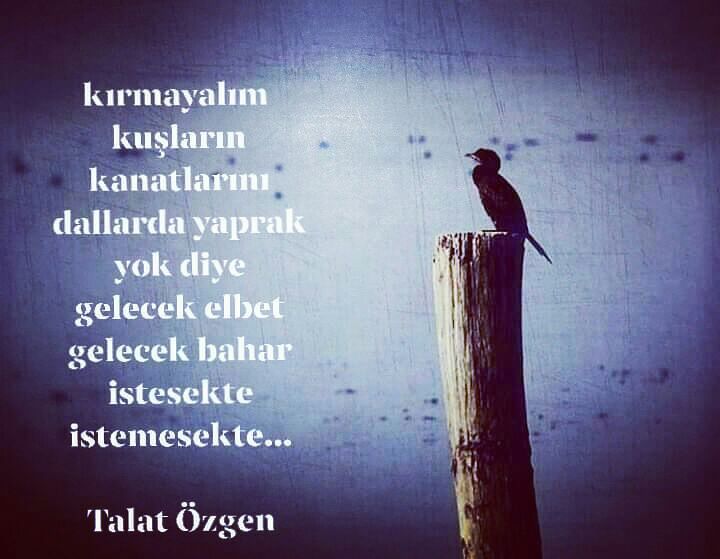 Gelecek Bahar