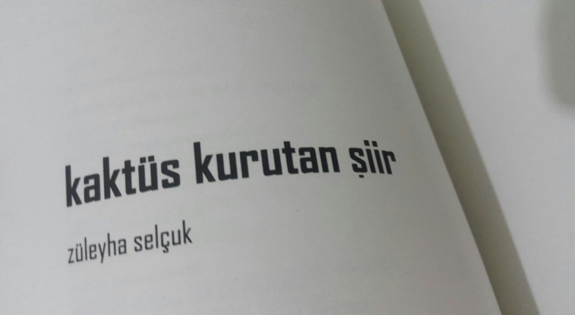 Kaktüs Kurutan Şiir