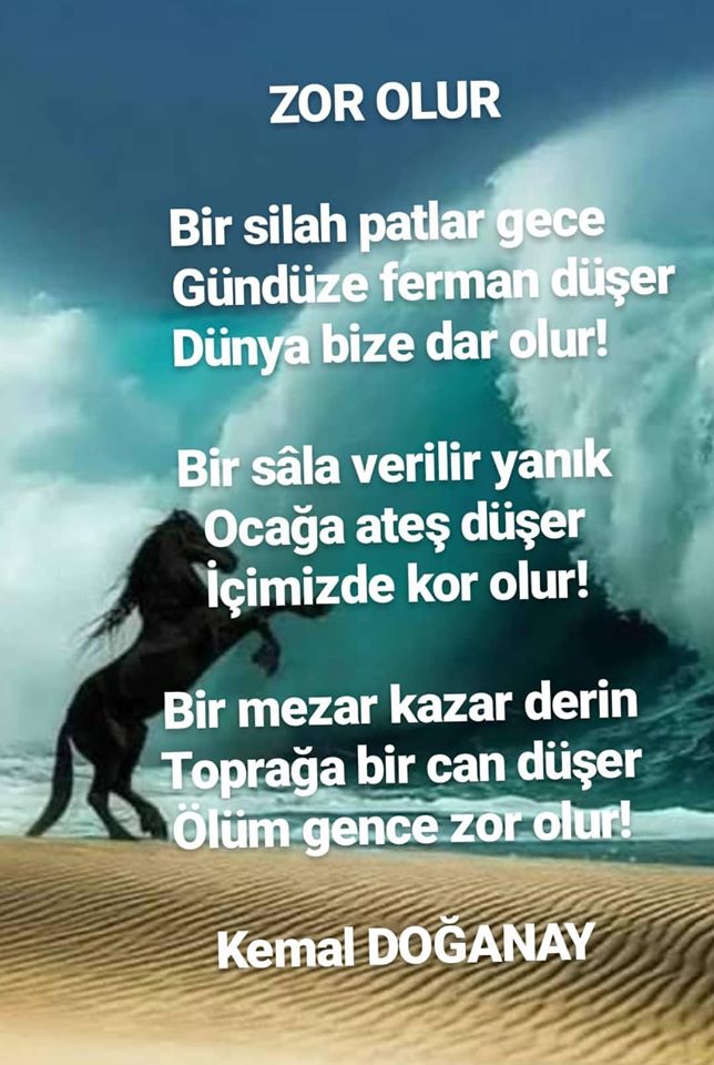 Zor Olur