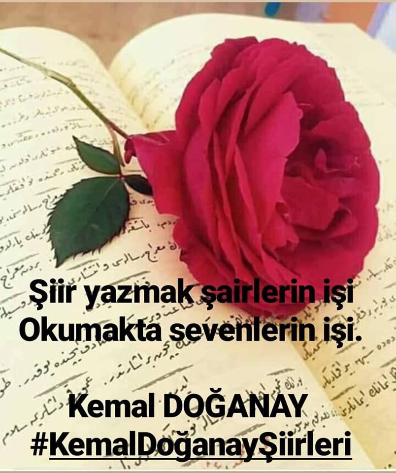 Şair Olmak