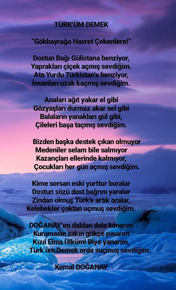 Türküm Demek