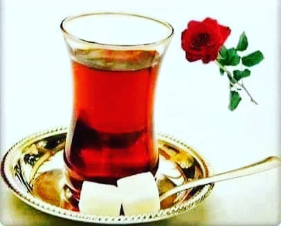 Akla Ziyan