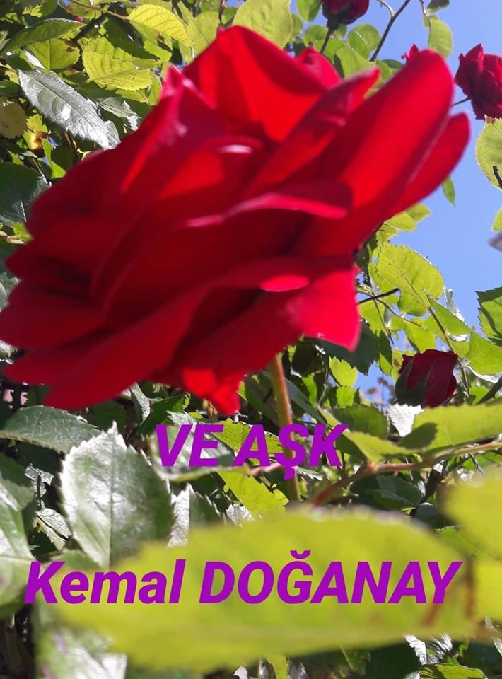 Ve Aşk