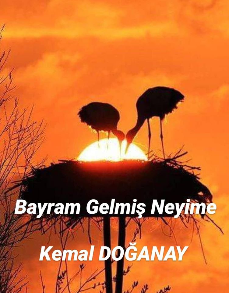 Bayram Gelmiş Neyime