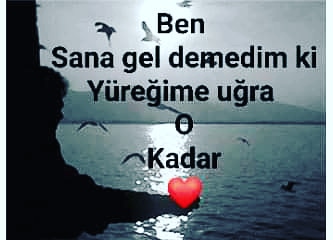 Takvim Yaprakları