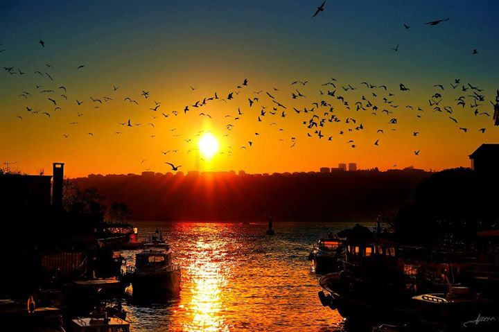 Seninle Olmak
