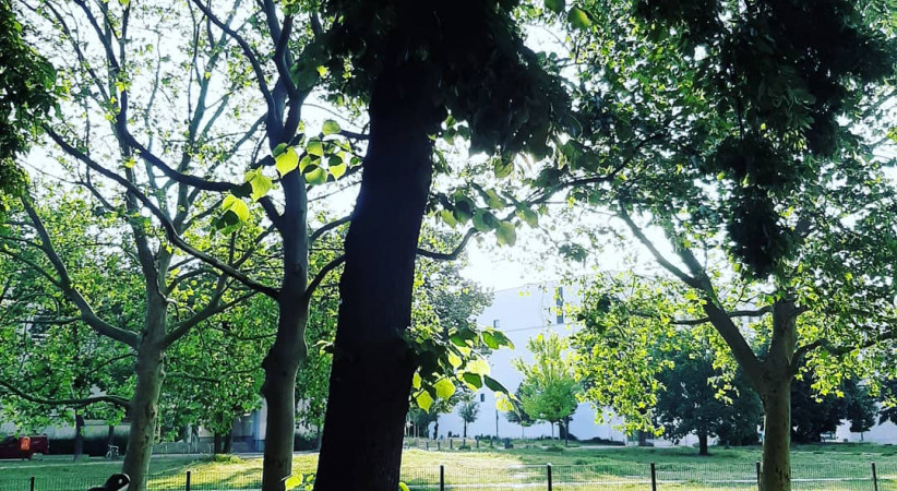 Güneş İle Kolkola