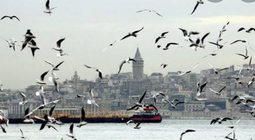 Sen Benim İstanbul'um